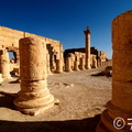 Colonnes, Palmyre