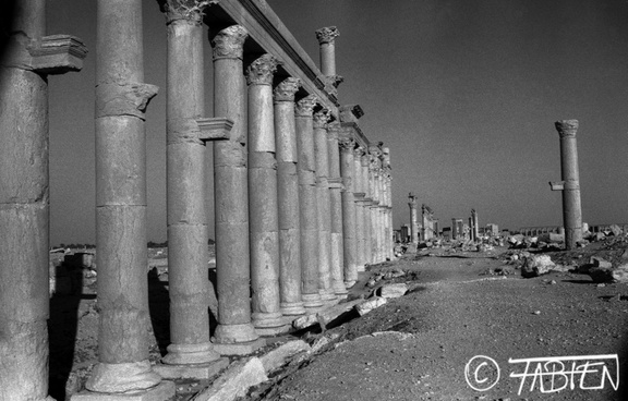 Decumanus, Palmyre