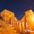 Citadelle d'Alep de nuit